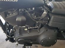 The left aide of my bike. Disregard the two connector caps sitting on the primary cover. They were in the female 4 pin o2 sensors. Just olugs to keep out dirt and moisture.

I posted this pic so someone could ket me know if my front cylinder wires get ran on the left side?