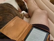 She's 3 and a half now. Still my best buddy and never leaves my side.