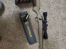Ruger 450 bushmaster, should be fun to plink around with. 