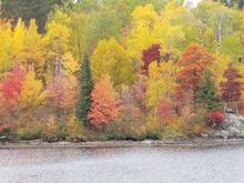 Northern Minnesota in the fall