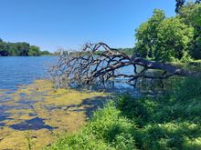 Went though a state park on my way up 78.