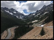 ... beautiful big sweepers...up...