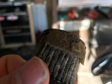 Does this fuel filter still look good?lol