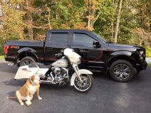 American Bulldog and a Forf F-150