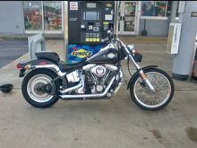 1.  1984 Softail, a little rough but priced accordingly
2,3  another 84 for sale at a cycle shop, looks original, new tires and battery but there is some rust spots that scare me, friend says it looks like a flood bike in the pictures
4,5. 85 Softail looks really clean, wants a lot more than the others
6 79 FXE
