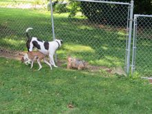 3 losers looking for the rabbit that none of them could catch!!