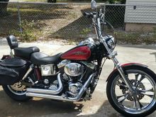 My 2005 low rider