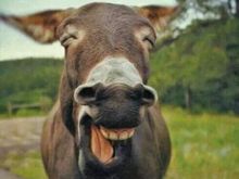 Mornin Woods, one and all. 