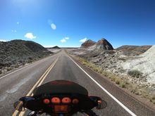 Petrified Forest/Painted Desert