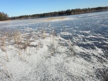 Ice thick enough for this old fat guy to jump up and down on it.