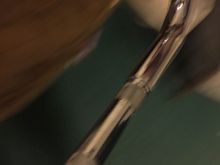 My Post Pictures