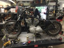 I have all the tins off the bike and new shocks on. The tires are original from 2002 so I'm hoping the wheel bearings aren't shot. I'm going to have to replace the clutch cable and front brake line.