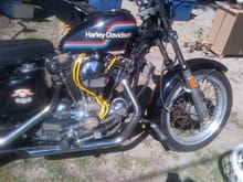 78 Sportster, found at tag sale