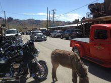 Day 2-Oatman -Cool Springs-onto RT66 to Kingman to Sun City West AZ
