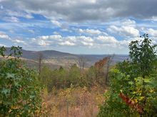 Somewhere on the Pig Trail