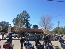 Mobbed Sea Fresh in Ojai, CA