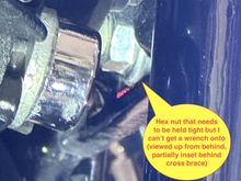 That nut...it mocks me.