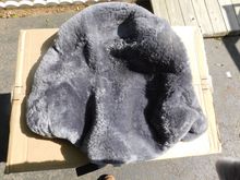 Passenger backrest