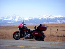 Ruby on a Fall run to Bozeman.