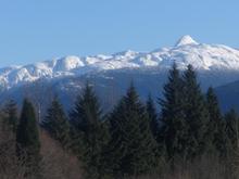the local snowcovered mountains
