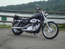 2005 Sportster