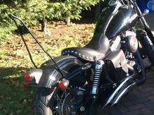 Sissy Bar