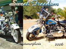 Metamorphosis- From stock to custom-stock, and all it took was a hit-and-run, rear-ender!