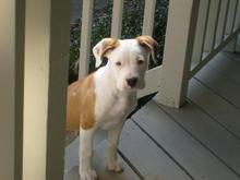 brewster growing b4 r eyes