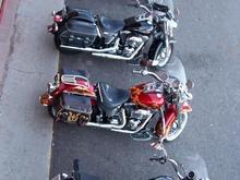 our gang of 4 in Utah near Bryce Canyon, Aug 2008