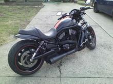 Love this pic she looks mean..