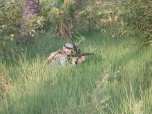 Reacting to sniper fire in the irrigation ditches of SW Baghdad