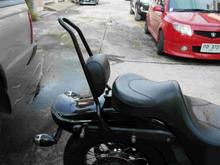 Detachable Sissy Bar Small