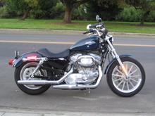 The wifes 883. It took me three years to convince her that her old 97' Virago 535 didn't have feelings and that she should dump it and fall in love with a Harley. Now she never looks back. Now I just have to work her to start liking louder pipes.