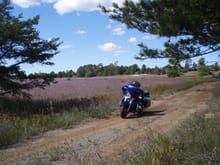 Michigan prairie, nice resting spot for bike and me.