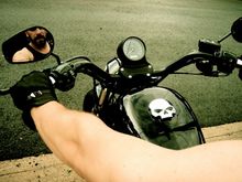 back in the saddle