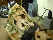 apply the panda blanket to protect!