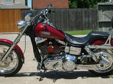 scott 015