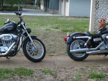 Both my Harleys. 883cc Sportster and 1584cc Dyna.
