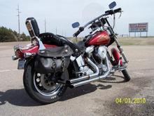 softail pic