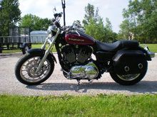 Harley Modified Left