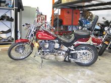 1994 FXSTS Springer