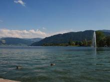 more local lake