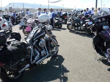 Girly Bikes