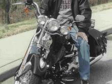 Natchez Trace, Tennessee March 2002