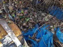 Untitled Album 2020-01-20 21:47:54