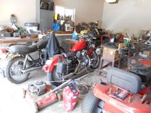 couple of scoots at home