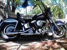 the new look