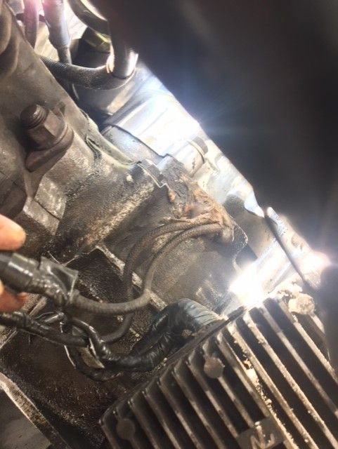 Wiring stator to regulator (no plug) - Page 2 - Harley Davidson Forums