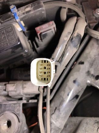 This plug, on the left side of the bike, is an 8-prong.