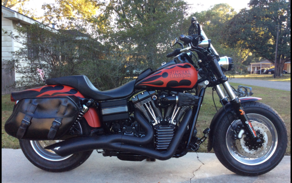 had the bags dyed black, now they are too Damn Shiney, got to knock that shine off some how.